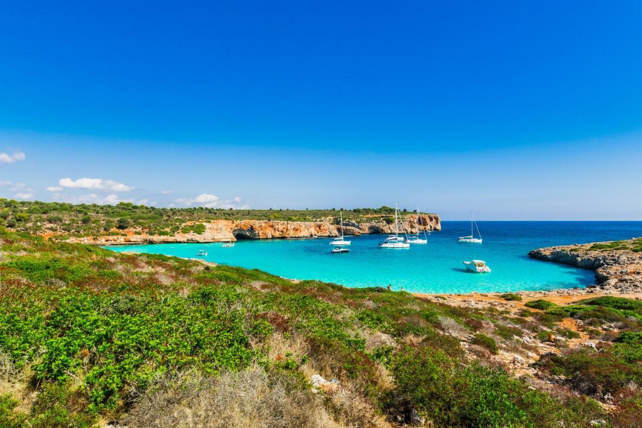 Big Villa Can Pedro In Palma De Mallorca Ngoại thất bức ảnh